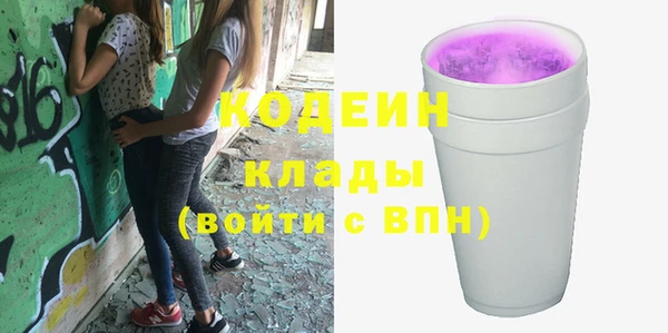 стаф Дмитровск