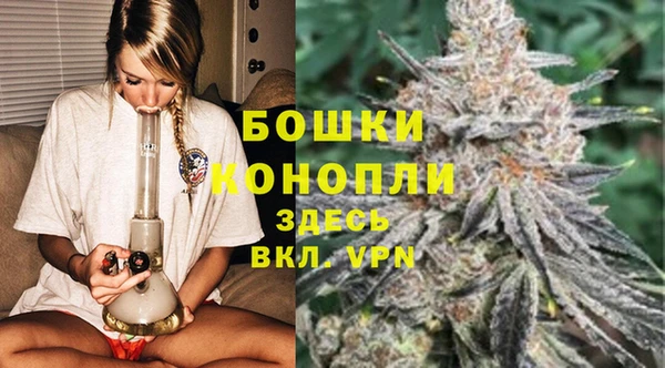 СК Дмитров