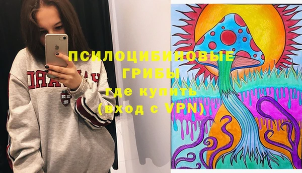 стаф Дмитровск