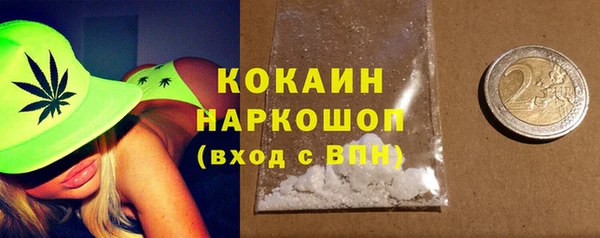 СК Дмитров